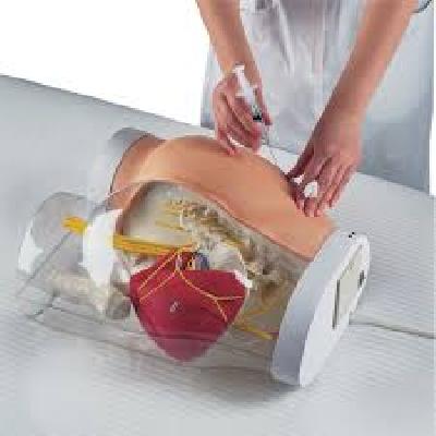 Buttock Injection Model