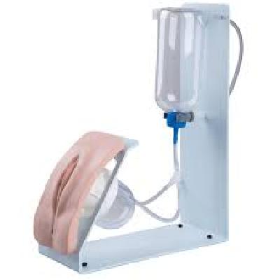 Female Catheterization Training Simulator