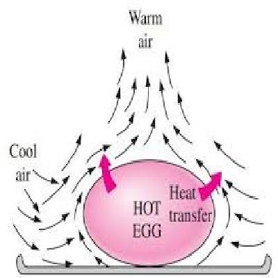 Heat Transfer By Natural Convection