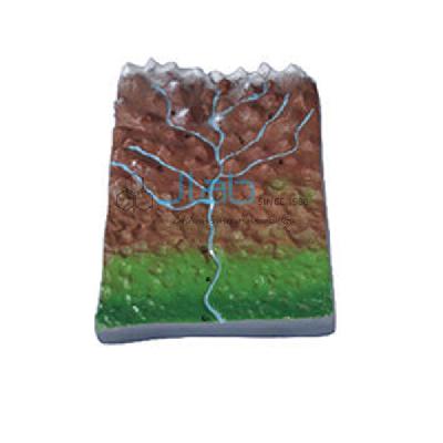 Model Of Collecting River System