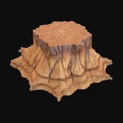 Model Of Plateau