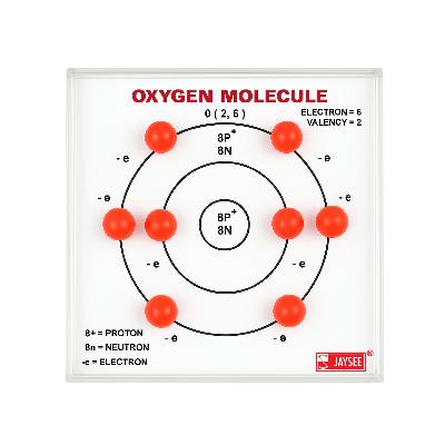 Oxygen Molecule Acrylic Model