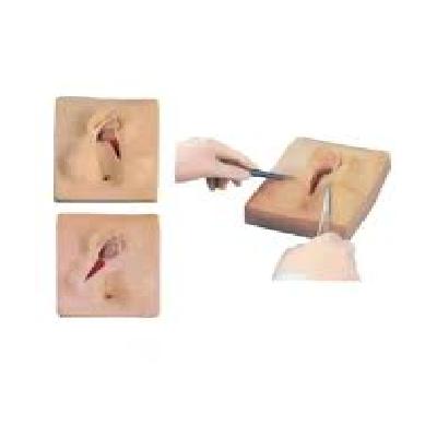 Vulva Suturing Training Simulator
