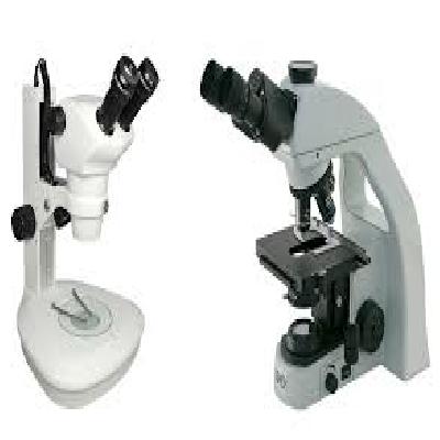 Dissection Microscope