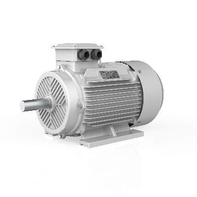 Asynchronous Electric Motor