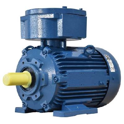 Flameproof Electric Motor