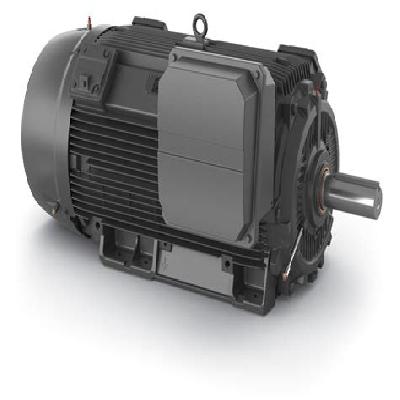 Low Voltage Electric Motor
