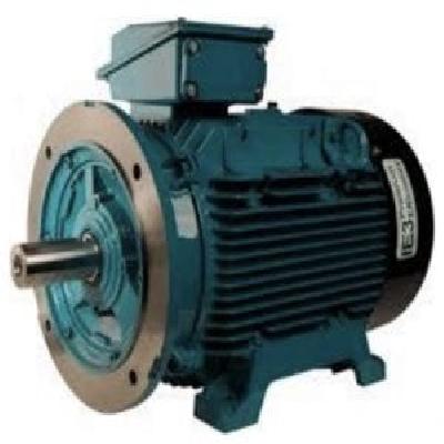 Reconditioned Electric Motor