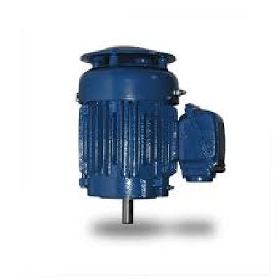 Vertical Motor