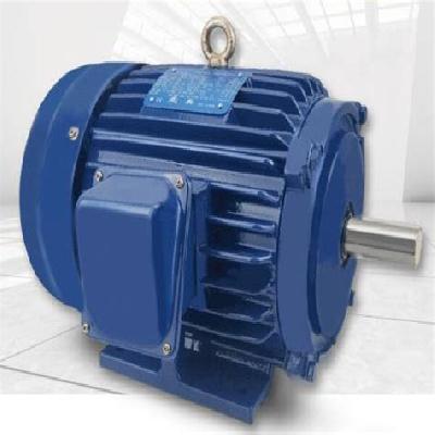 Three Phase Induction Electric Motor