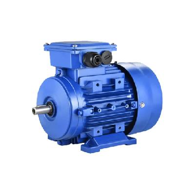 20 HP Three Phase Marine Motor
