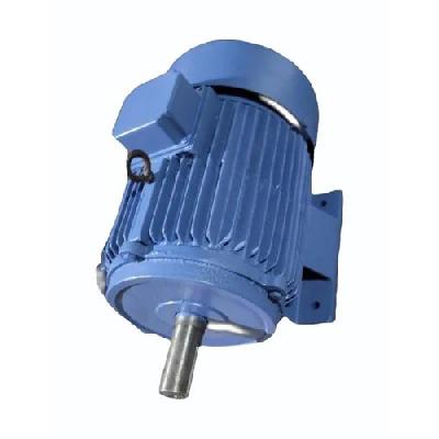 5 HP Mild Steel Three Phase Motor