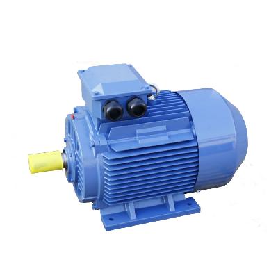 6 HP Three Phase Induction Motor