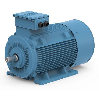 8 HP Three Phase Induction Motor