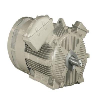 TEFC Electric Motors 1380 kw 6600volt 1760 rpm