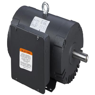 Single Phase Electric Induction Motor