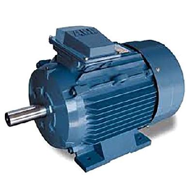 Three Phase Electric Induction Motor