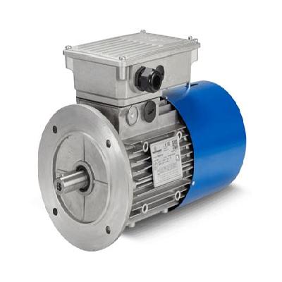 Brake Motor