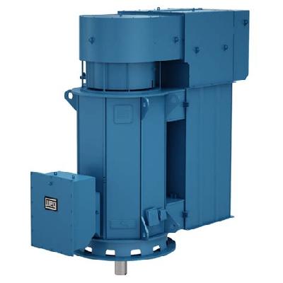 Vertical Type Electric Motor