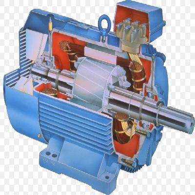 Electric Induction Motor