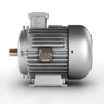 Electric Induction Motor