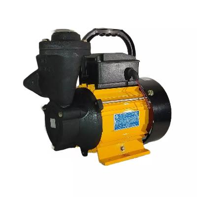 Domestic Mini Monoblock Pump