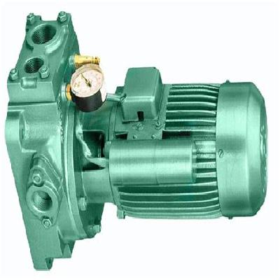 Single Phase Jet Monoblocs