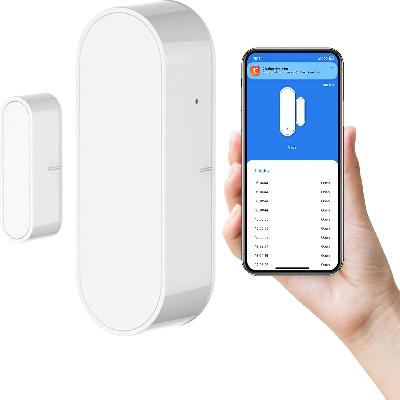 Door Sensor
