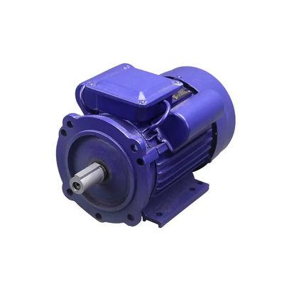 1 HP Single Phase Induction Motor