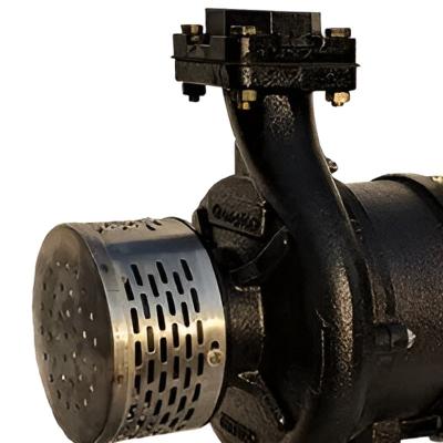 2 HP Induction Motor