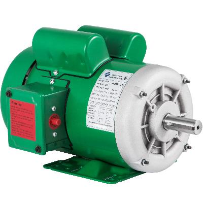 2 HP Single Phase Electric Motor