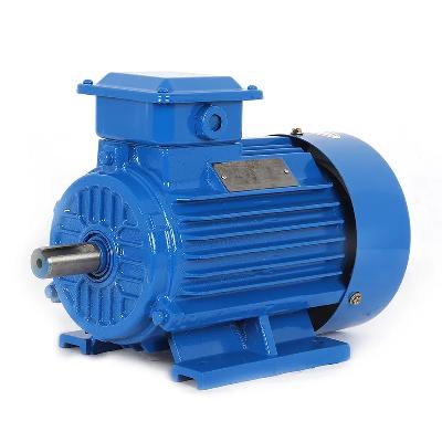 2 HP Single Phase Induction Motor