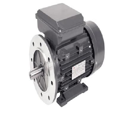 Single Phase Electric Motor