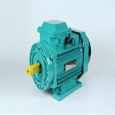 AC Low Voltage Electric Motor