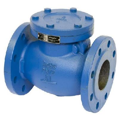Kirloskar Cast Steel Check Valve