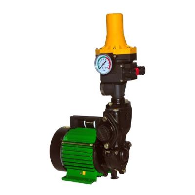 Kirloskar Star And Mini Domestic Pump