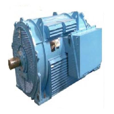 Mill Duty Wound Rotor Induction Motor