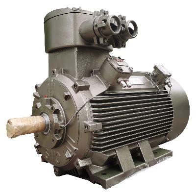 Three Phase AC Flame Proof Motor