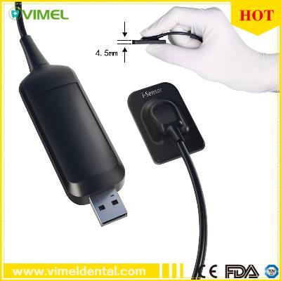 Woodpecker Sensor Rvg