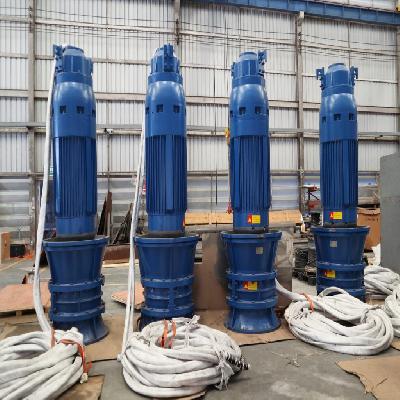 Submersible Water Pump