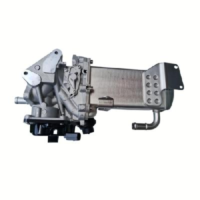 Audi Q5 EGR