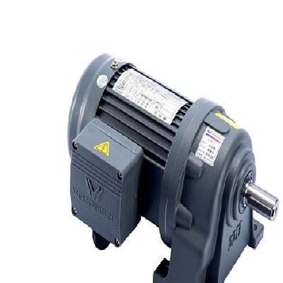 AC Reduction Gear Motor