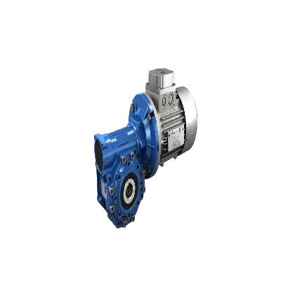 Motovario Worm Geared Motors