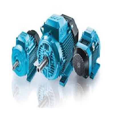 Rotomotive Flame Proof Motors