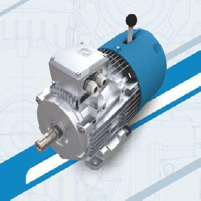 Rotomotive High Temperature Motors