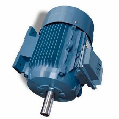 Rotomotive Three Phase Motor