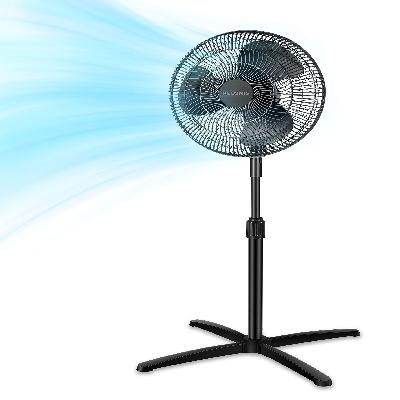 Pedestal Fan
