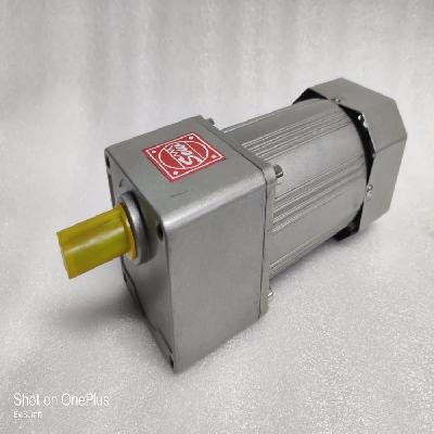 Ac Inline Gear Motor