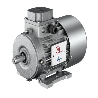 Motor Variator