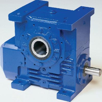 Worm Gear Reducer